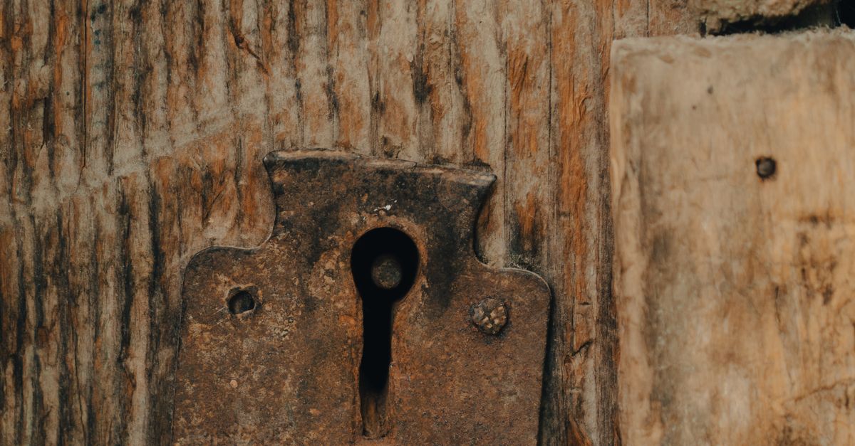 DIY vs Professional Security System Installation